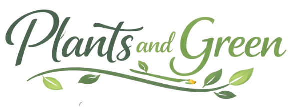 plantsandgreen